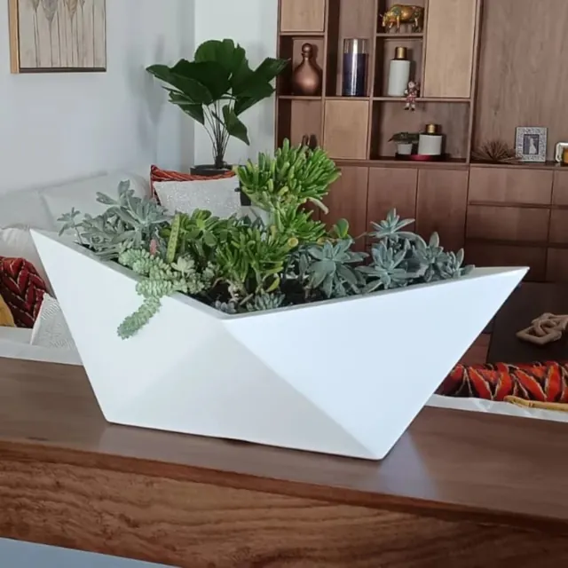 Arreglo de suculentas en una jardinera blanca de forma geométrica
